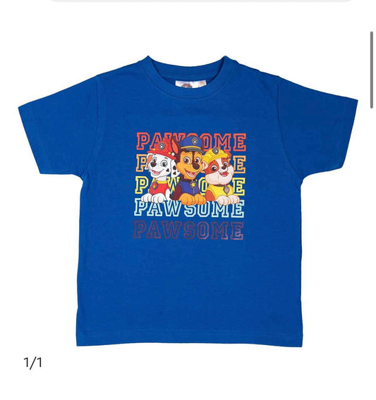 Jungen Paw Patrol Blau